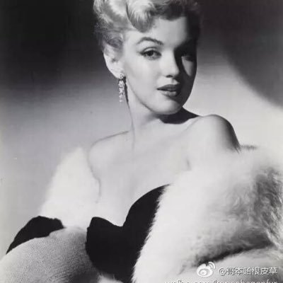 Welcome to our Blog!There are more information about the fur.
https://t.co/IUpZLOPqw6
