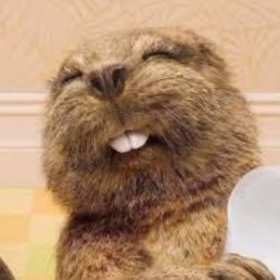 follow_pcy_'s profile picture. 