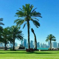 عبداللــه يحيى گليبي (@ebb8etlkj7d2oov) 's Twitter Profile