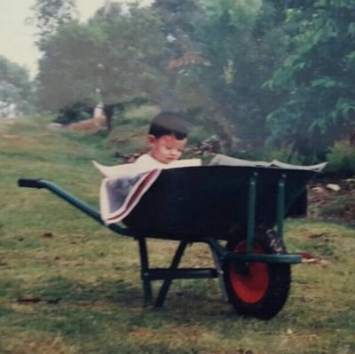 haikalfifififi's profile picture. I like apples