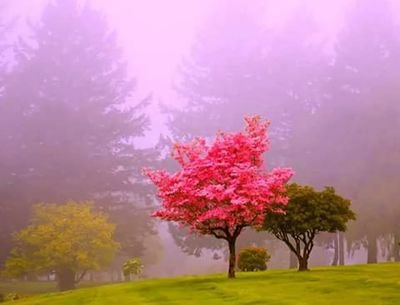 LoveYou74770526's profile picture. How are you