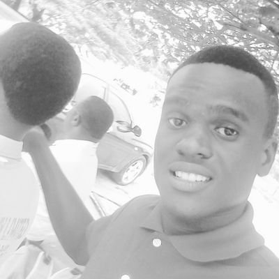 venasfesto's profile picture. 