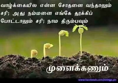 rajesh720005181's profile picture. 