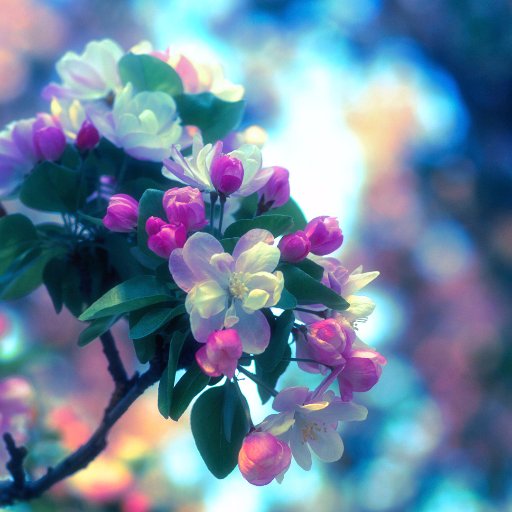 vzelinska11's profile picture. 