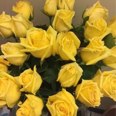 rosario_todd's profile picture. 