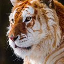 رندی دیار (@007arndy) Twitter