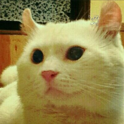 miya38_24's profile picture. ２４