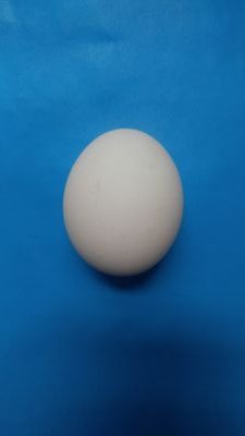 Current: Poaching eggs @TimeVarience sous @Ola's
Former: @bantr @TychoStation @AxeCapital @KaanandAssociates @SterlingCooper @millergoldagency @piedpiper