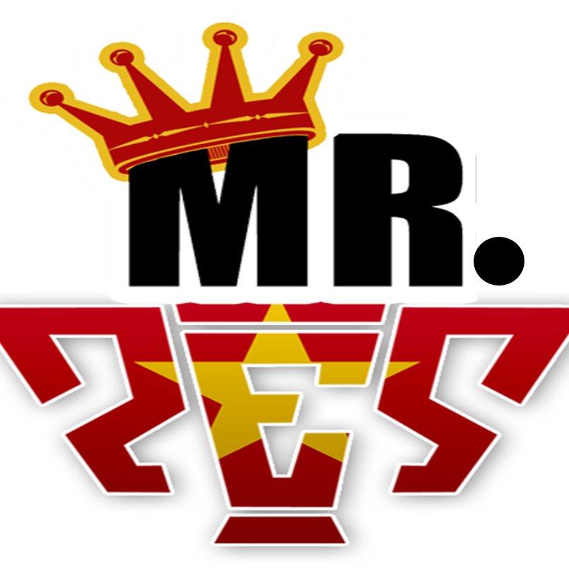 Mr. PES Channel Profile