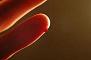diabetes information in 5 languages on my webpage