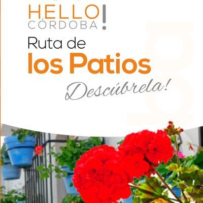 GUÍAS OFICIALES, visitas guiadas, Rutas de Patios, organización de eventos.