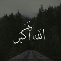 Yolcu (@yolcu63187907) 's Twitter Profile