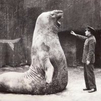 Whut? (@kwhutwhut) 's Twitter Profile Photo