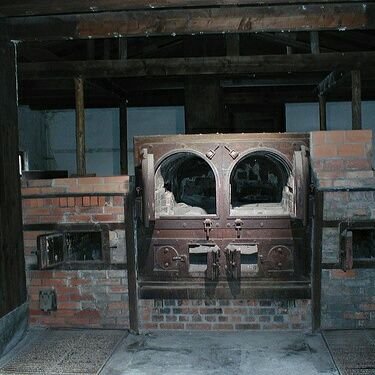 Pionnierpg's profile picture. Rpg: Off/ Inscription: On
F: 1 / M: 0
Gossip: /