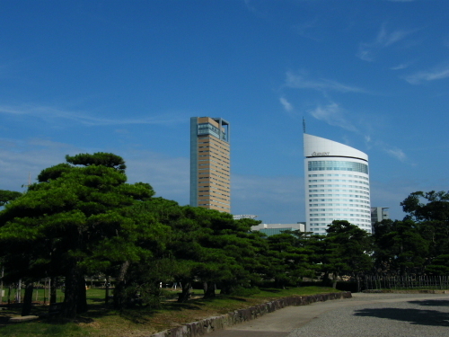 造園関係の仕事をしてます☆