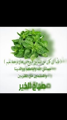 osssc2030's profile picture. محذوف