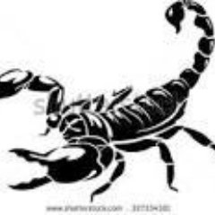 harishmanek's profile picture. always looking and offering opportunities.