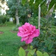 naglaa (@mohamda28187864) 's Twitter Profile