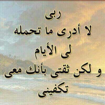 لا خَيلَ عِندَكَ تُهديها وَلا مالُ فَليُسعِدِ النُطقُ إِن لَم تُسعِدِ الحالُ