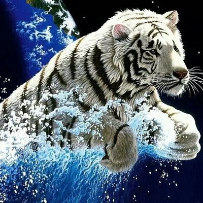 Ajith78154479's profile picture. 