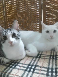 islandking16's profile picture. アラヒィフちょい悪おやじ、最後に失敗して、泣かず飛ばずの日々を送っています。防人の島からさえずります。クロスFM大ファンです。