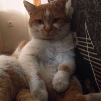 sehriban tutal (@sehribantutal75) Twitter profile photo