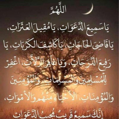 MohamedShawr4's profile picture. 