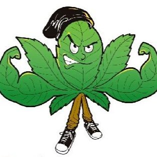 Plant Optimizer increases yield up to 30%. Commercial growers, retailers and distributors email ic.ray@junglecontrol.it for more information.