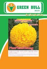 watermelon seed  http://t.co/Xn3JuDMl2b