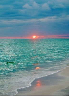 TranDun13419849's profile picture. Sinh ra rồi lớn lên và đang già đi.