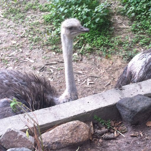 TheStorkDiaries's profile picture. TTC 4 years, 4 Failed IUI's, 2 miscarriages, and 1 Failed IVF, somehow still holding onto something like hope. Miracle BFP April 2014!! Babybelle born 11-1-14!!