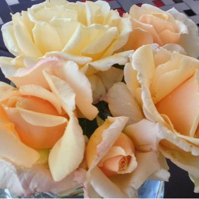 Happily Retired ...It is what it is! …..Proud Liberal🇨🇦FLOWERCHILD. @karenallard64.bsky.social