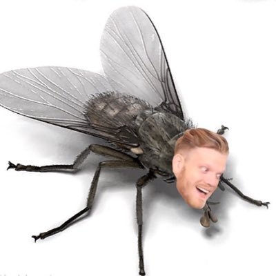 weifunelaine's profile picture. PTXXXXXXXXX ❤️❤️❤️❤️❤️❤️❤️❤️❤️