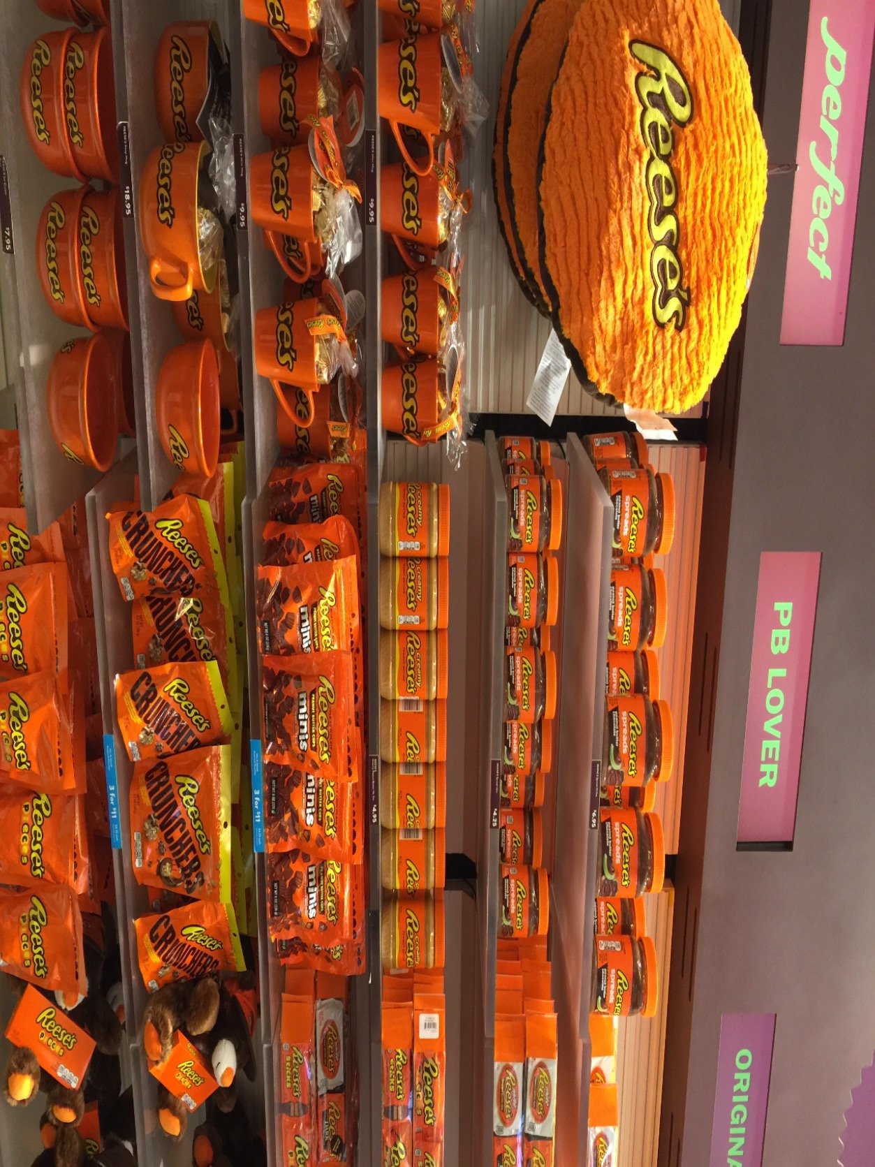 fotti17's profile picture. 