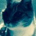 Bluewave Cat 🇺🇸 🦅 🇺🇦 (@zhozhoma) Twitter profile photo Bluewave Cat 🇺🇸 🦅 🇺🇦 (@zhozhoma) Twitter profile photo