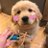 mostakdayon's profile image
