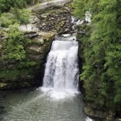 MjcVillersLeLac's profile picture. 