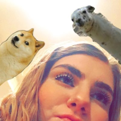 _notgnarlycarly's profile picture. pls leave a message after the beeeeeep