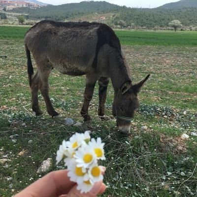 filom09's profile picture. 