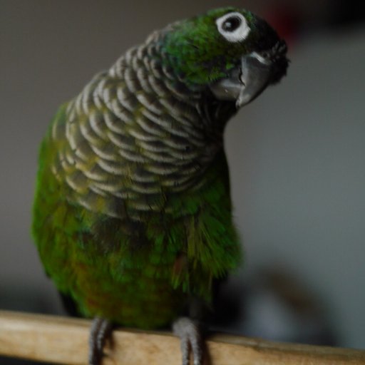 backtacker190's profile picture. 