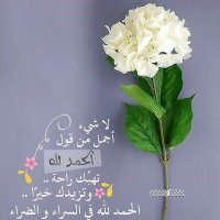 💕 بحر (@jjoo_w4) 's Twitter Profile