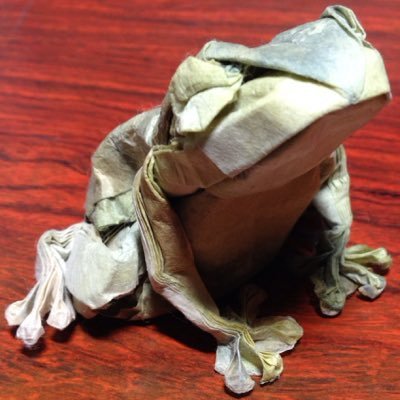 北海道→九大院/ハネカクシ科(ヒゲブトハネカクシ亜科)の分類など/昆虫画/創作折紙/美術制作 折り紙ホームページ→ https://t.co/eWQzPDh0D3