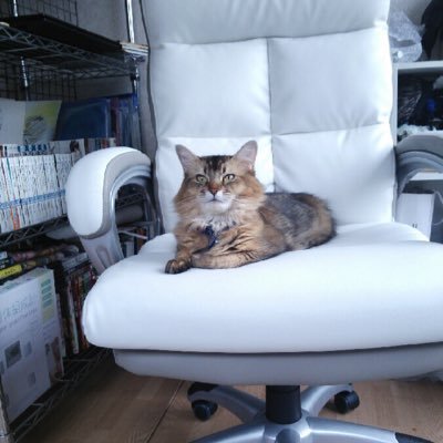 鬼宮凛華さんのプロフィール画像