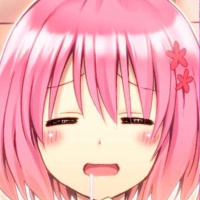 ここあさんのプロフィール画像