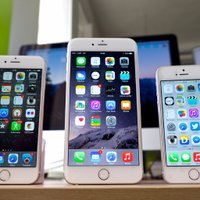 Dalton Maldonado (@d_maldy23) 's Twitter Profile