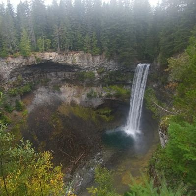 ReeGanesh's profile picture. 