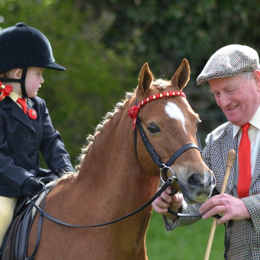 Killyleagh Show was established in 1816 and is arguably the oldest horse show in Ireland.