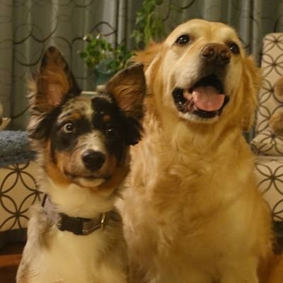 JazSchroeder's profile picture. 