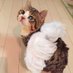 Erika (@erikapyonpyon) Twitter profile photo Erika (@erikapyonpyon) Twitter profile photo