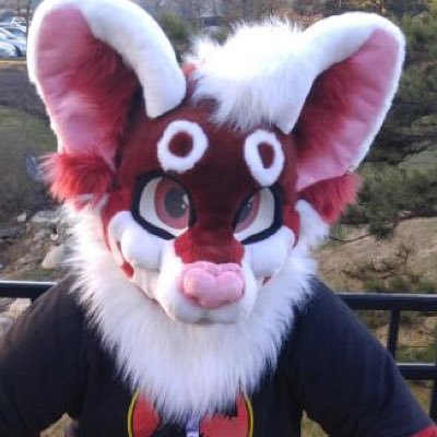 Kirazさんのプロフィール画像